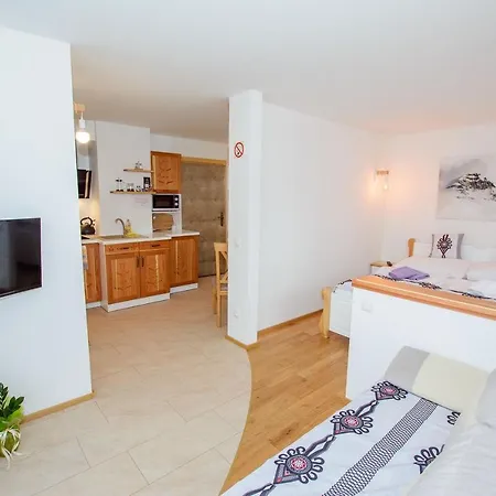 Apartamenty Toporowe Domki Witow  Exterior photo