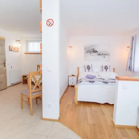 Apartamenty Toporowe Domki Witow  Exterior photo